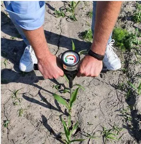 Penetrometr w użyciu na polu